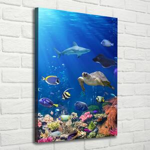 Vertikální Foto obraz canvas Korálový útes ocv-61347812