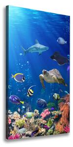 Vertikální Foto obraz canvas Korálový útes ocv-61347812