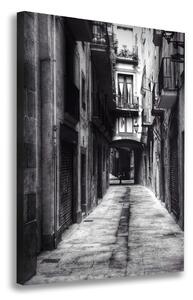 Vertikální Foto obraz na plátně Barcelona Španělsko ocv-62280474