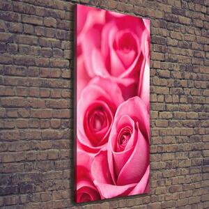 Vertikální Vertikální Foto obraz na plátně do obýváku Růžové růže ocv-62775454