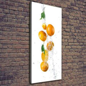 Vertikální Vertikální Foto obraz na plátně do obýváku Pomeranče ocv-63072139