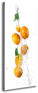 Vertikální Vertikální Foto obraz na plátně do obýváku Pomeranče ocv-63072139