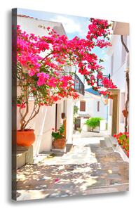 Vertikální Foto obraz na plátně Řecké ulice ocv-63218536