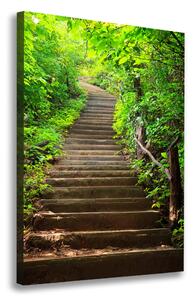 Vertikální Foto obraz na plátně Schody do lesa ocv-64602370