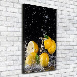 Vertikální Moderní obraz canvas na rámu Citron ocv-64818305