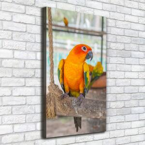 Vertikální Moderní fotoobraz canvas na rámu Papoušek ocv-64972038