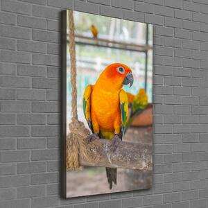 Vertikální Moderní fotoobraz canvas na rámu Papoušek ocv-64972038