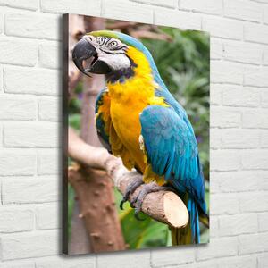 Vertikální Vertikální Foto obraz na plátně do obýváku Papoušek Ara ocv-65052351
