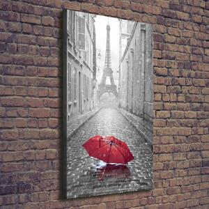 Vertikální Foto obraz na plátně Deštník Francie ocv-65130682
