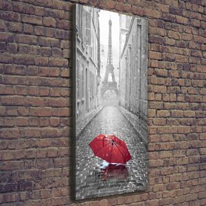 Vertikální Foto obraz na plátně Deštník Francie ocv-65130682