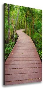 Vertikální Foto obraz na plátně Stezka v džungli ocv-65260817