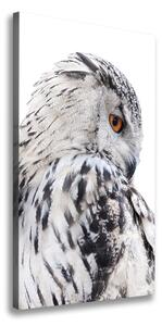 Vertikální Vertikální Foto obraz na plátně do obýváku Bílá sova ocv-65272565