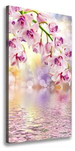 Vertikální Vertikální Foto obraz na plátně do obýváku Orchidej ocv-65501947