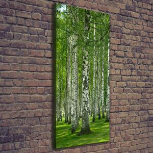 Vertikální Foto obraz canvas Břízový les ocv-65572526