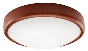LED Stropní svítidlo LED/12W/230V