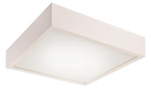 Stropní svítidlo 2xE27/60W/230V