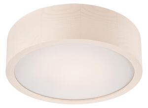 LED Stropní svítidlo LED/12W/230V