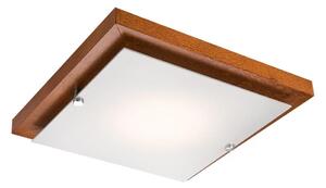 Stropní svítidlo 1xE27/60W/230V