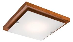 LED Stropní svítidlo LED/12W/230V