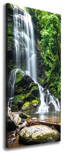 Vertikální Foto obraz na plátně Vodopád v džungli ocv-65742204