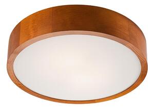 LED Stropní svítidlo 1xLED/24W/230V