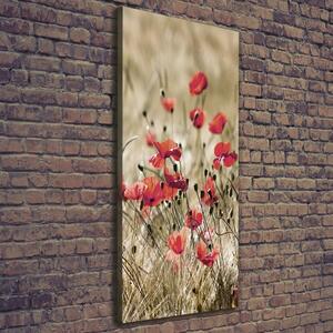 Vertikální Foto obraz canvas Polní květiny ocv-66291805