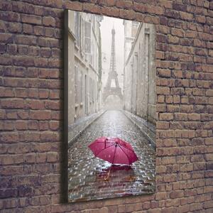 Vertikální Foto obraz na plátně Deštník Francie ocv-66343013