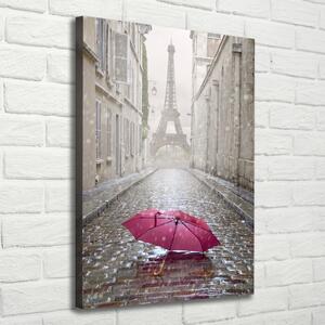 Vertikální Foto obraz na plátně Deštník Francie ocv-66343013