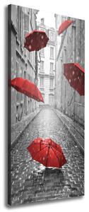 Vertikální Foto obraz na plátně Deštník Francie ocv-66343093