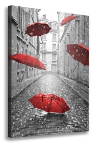 Vertikální Foto obraz na plátně Deštník Francie ocv-66343093