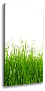 Vertikální Foto obraz na plátně Zelená tráva ocv-66476309