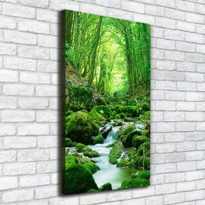 Vertikální Foto obraz na plátně Potok v džungli ocv-66843230