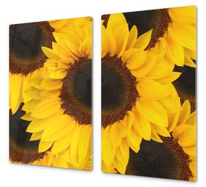 Ochranná deska květy slunečnice - 50x70cm / Bez lepení na zeď