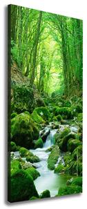 Vertikální Foto obraz na plátně Potok v džungli ocv-66843230