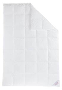 Sannwald Kazetová přikrývka z prachového peří Premium, středně teplá (140 x 200 cm) (100061721004)