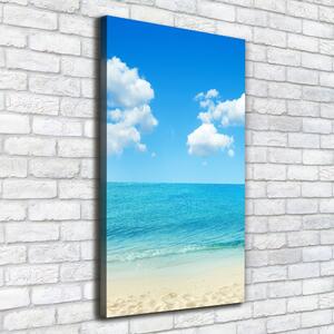 Vertikální Foto obraz na plátně Tropická pláž ocv-67235061