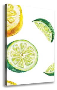 Vertikální Foto obraz na plátně Limetky a citrony ocv-67543489
