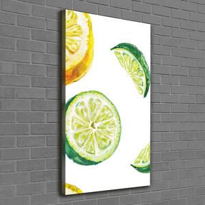 Vertikální Foto obraz na plátně Limetky a citrony ocv-67543489