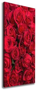 Foto-obraz canvas do obýváku Červené růže ocv-67561194