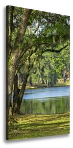 Vertikální Foto obraz na plátně Jezero v parku ocv-67926921