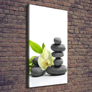 Vertikální Foto obraz na plátně Orchidej a kameny ocv-68592259