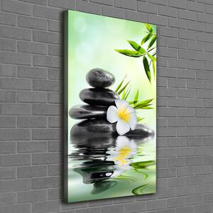 Vertikální Moderní fotoobraz canvas na rámu Bambus ocv-68618057