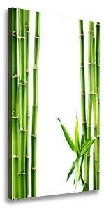 Vertikální Moderní fotoobraz canvas na rámu Bambus ocv-68827460