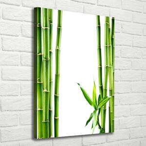 Vertikální Moderní fotoobraz canvas na rámu Bambus ocv-68827460