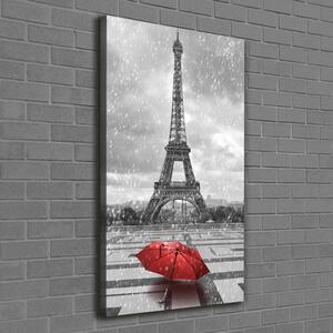 Vertikální Foto obraz na plátně Eiffelová věž Paříž ocv-68974359