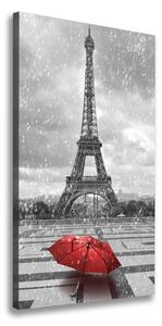 Vertikální Foto obraz na plátně Eiffelová věž Paříž ocv-68974359