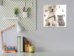 Nástěnné hodiny 30x30cm bílé stěně a šedé kotě - plexi