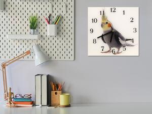 Nástěnné hodiny 30x30cm papoušek korela na bílém pozadí - plexi