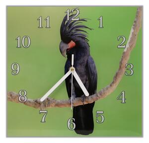 Nástěnné hodiny 30x30cm papoušek kakadu palmový - plexi