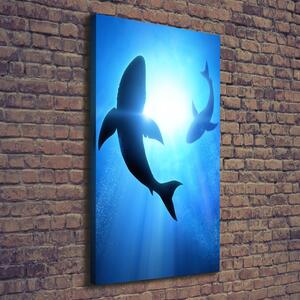 Vertikální Foto obraz na plátně Siluety žraloků ocv-69178156